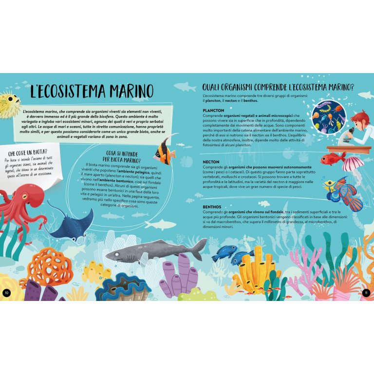 Cosa, come, perché. Il Mare