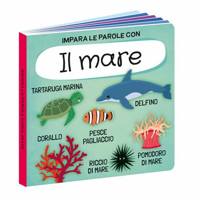 Q-box. Il mare